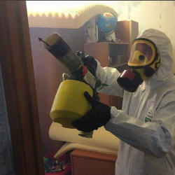 Уничтожение клопов в квартире. Вяземский